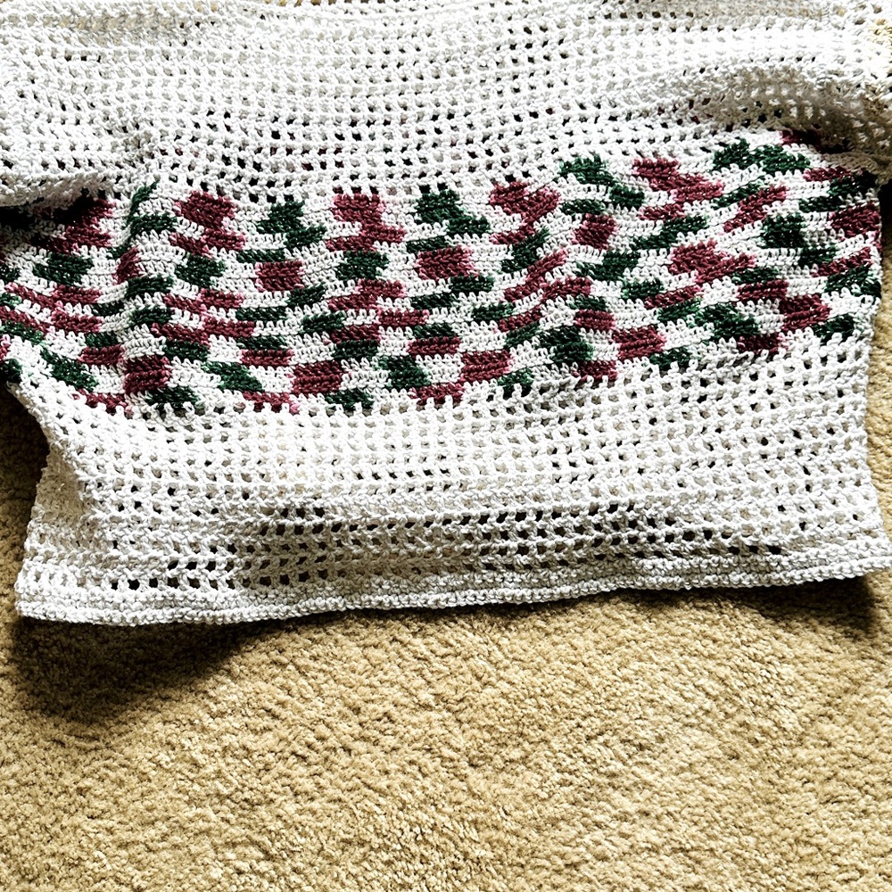 SALE $15 Crocheted Sparkle Crop Top - Picture 6 of 6